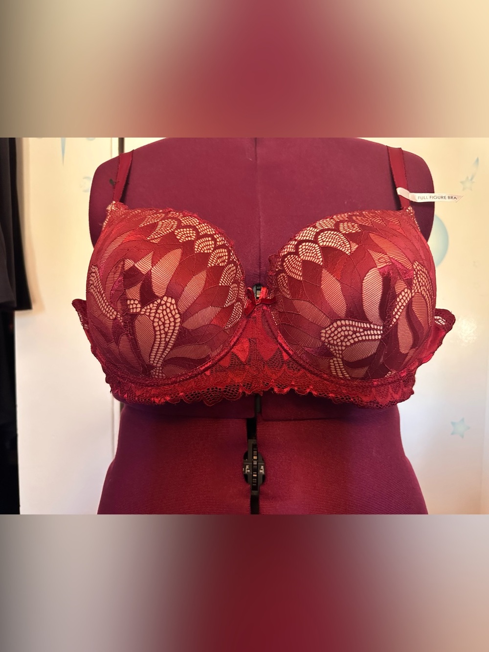 Daisy Fuentes Red Lace Underwire Push-Up Bra 40 D